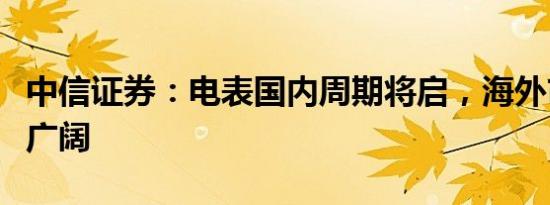 中信证券：电表国内周期将启，海外市场空间广阔