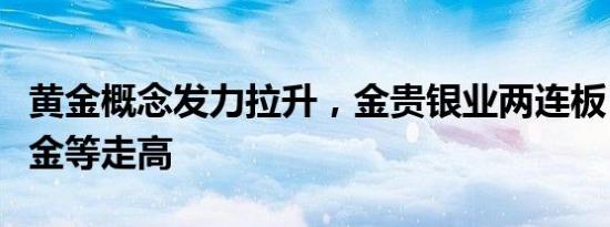 黄金概念发力拉升，金贵银业两连板，山东黄金等走高