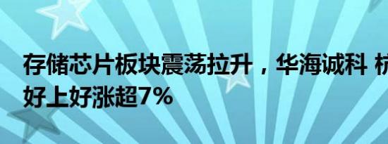 存储芯片板块震荡拉升，华海诚科 杭州柯林 好上好涨超7%