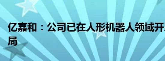 亿嘉和：公司已在人形机器人领域开展相关布局