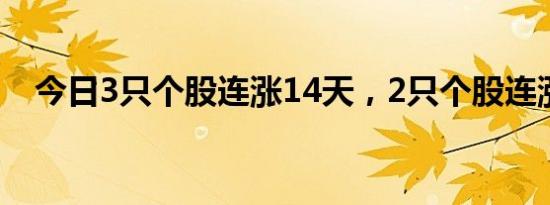 今日3只个股连涨14天，2只个股连涨7天