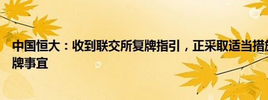 中国恒大：收到联交所复牌指引，正采取适当措施以解决停牌事宜