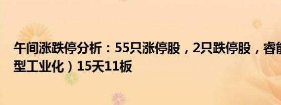 午间涨跌停分析：55只涨停股，2只跌停股，睿能科技（新型工业化）15天11板