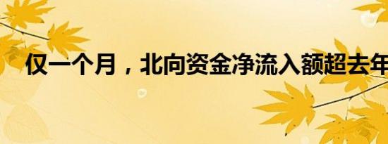 仅一个月，北向资金净流入额超去年全年