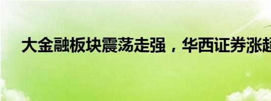 大金融板块震荡走强，华西证券涨超5%