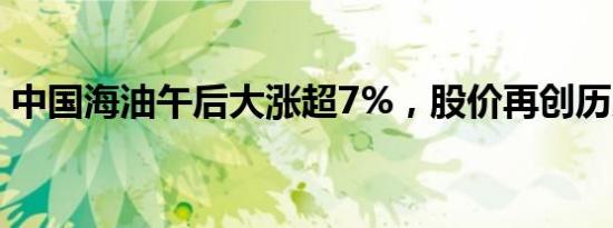 中国海油午后大涨超7%，股价再创历史新高