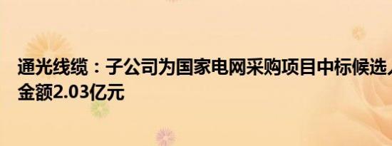 通光线缆：子公司为国家电网采购项目中标候选人，预中标金额2.03亿元