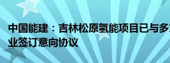 中国能建：吉林松原氢能项目已与多家消纳企业签订意向协议