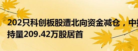 202只科创板股遭北向资金减仓，中控技术减持量209.42万股居首