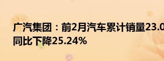 广汽集团：前2月汽车累计销量23.04万辆，同比下降25.24%