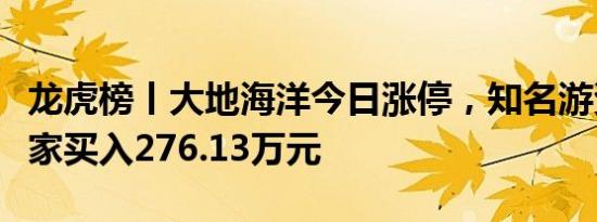 龙虎榜丨大地海洋今日涨停，知名游资炒股养家买入276.13万元