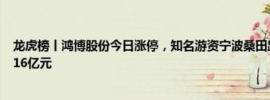 龙虎榜丨鸿博股份今日涨停，知名游资宁波桑田路净买入1.16亿元