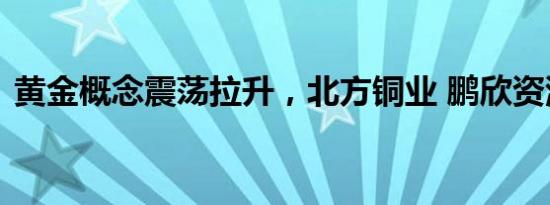 黄金概念震荡拉升，北方铜业 鹏欣资源涨停