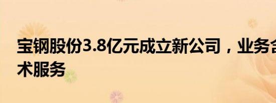 宝钢股份3.8亿元成立新公司，业务含储能技术服务