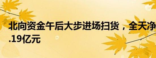 北向资金午后大步进场扫货，全天净买入103.19亿元