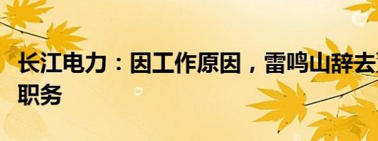 长江电力：因工作原因，雷鸣山辞去董事长等职务