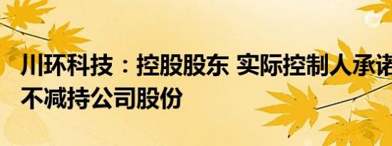 川环科技：控股股东 实际控制人承诺6个月内不减持公司股份