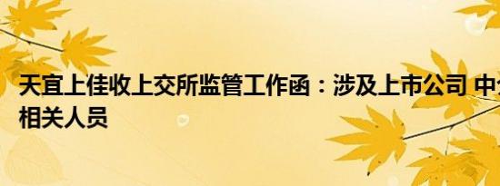 天宜上佳收上交所监管工作函：涉及上市公司 中介机构及其相关人员