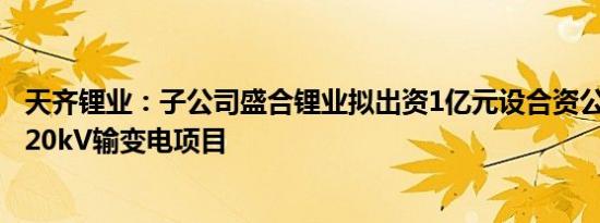 天齐锂业：子公司盛合锂业拟出资1亿元设合资公司，建设220kV输变电项目