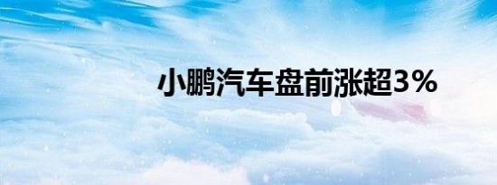 小鹏汽车盘前涨超3%