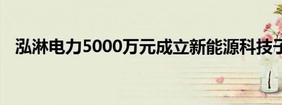 泓淋电力5000万元成立新能源科技子公司