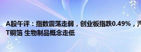 A股午评：指数震荡走弱，创业板指跌0.49%，汽车拆解 PET铜箔 生物制品概念走低