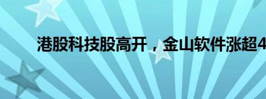 港股科技股高开，金山软件涨超4%