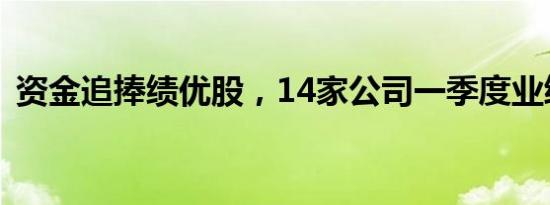 资金追捧绩优股，14家公司一季度业绩预喜