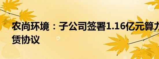 农尚环境：子公司签署1.16亿元算力服务租赁协议