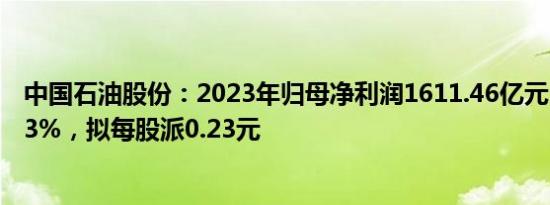 中国石油股份：2023年归母净利润1611.46亿元，同比增8.3%，拟每股派0.23元