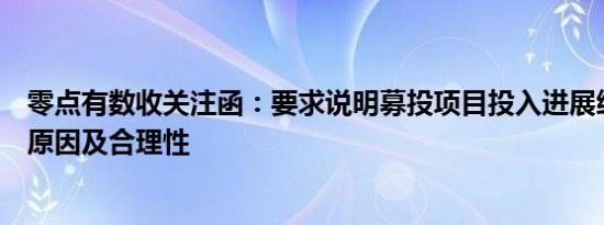 零点有数收关注函：要求说明募投项目投入进展缓慢的具体原因及合理性