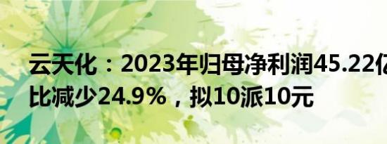 云天化：2023年归母净利润45.22亿元，同比减少24.9%，拟10派10元