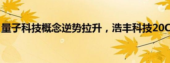 量子科技概念逆势拉升，浩丰科技20CM涨停