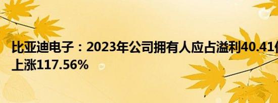 比亚迪电子：2023年公司拥有人应占溢利40.41亿元，同比上涨117.56%