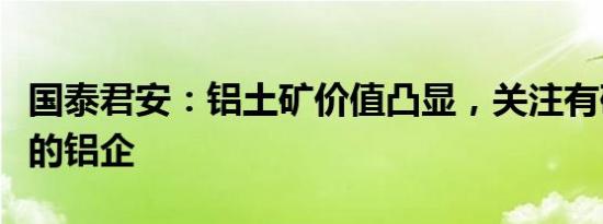 国泰君安：铝土矿价值凸显，关注有矿端优势的铝企