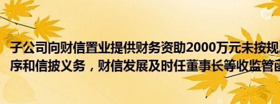 子公司向财信置业提供财务资助2000万元未按规履行审议程序和信披义务，财信发展及时任董事长等收监管函