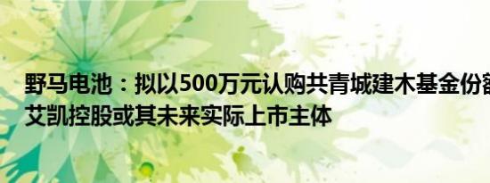 野马电池：拟以500万元认购共青城建木基金份额，投资于艾凯控股或其未来实际上市主体