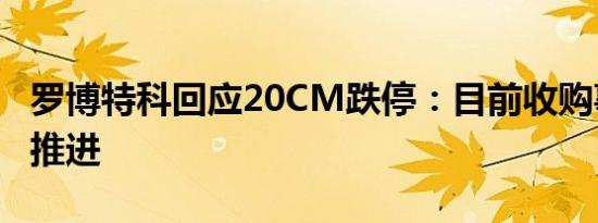 罗博特科回应20CM跌停：目前收购事项正常推进