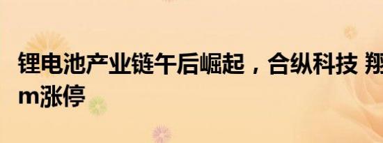 锂电池产业链午后崛起，合纵科技 翔丰华20cm涨停