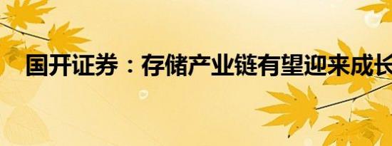 国开证券：存储产业链有望迎来成长机遇