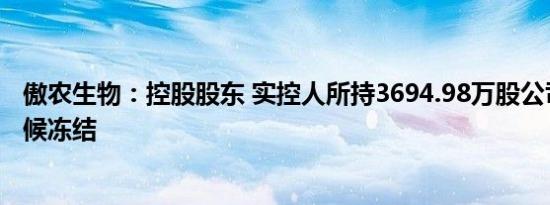 傲农生物：控股股东 实控人所持3694.98万股公司股份被轮候冻结