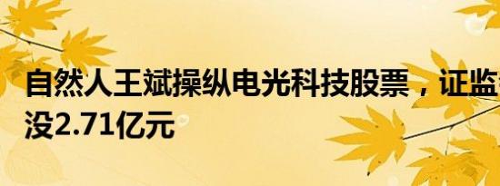 自然人王斌操纵电光科技股票，证监会合计罚没2.71亿元