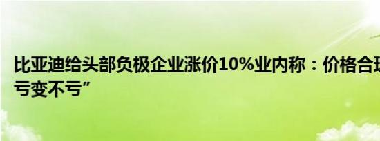 比亚迪给头部负极企业涨价10%业内称：价格合理回归 “从亏变不亏”