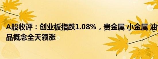 A股收评：创业板指跌1.08%，贵金属 小金属 油气等大宗商品概念全天领涨