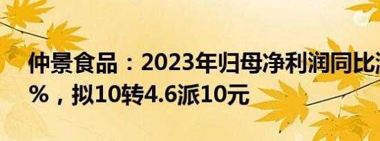 仲景食品：2023年归母净利润同比涨36.72%，拟10转4.6派10元