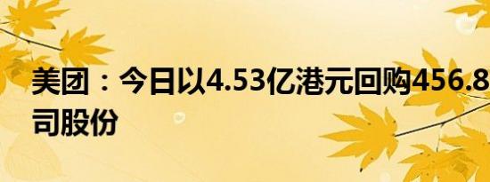 美团：今日以4.53亿港元回购456.82万股公司股份