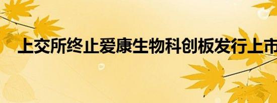 上交所终止爱康生物科创板发行上市审核