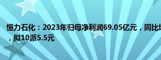 恒力石化：2023年归母净利润69.05亿元，同比增197.83%，拟10派5.5元