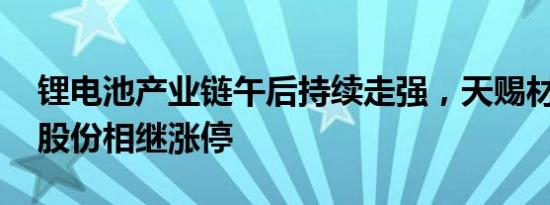 锂电池产业链午后持续走强，天赐材料 天际股份相继涨停