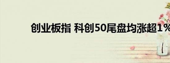 创业板指 科创50尾盘均涨超1%